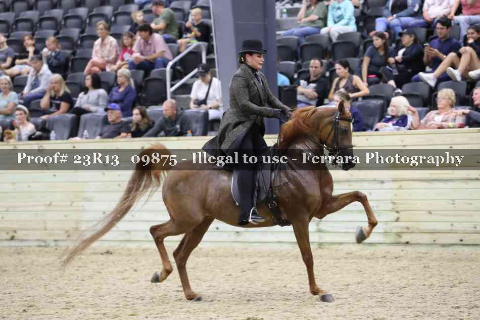 Proof 23R13_09875