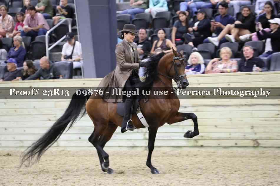 Proof 23R13_09876