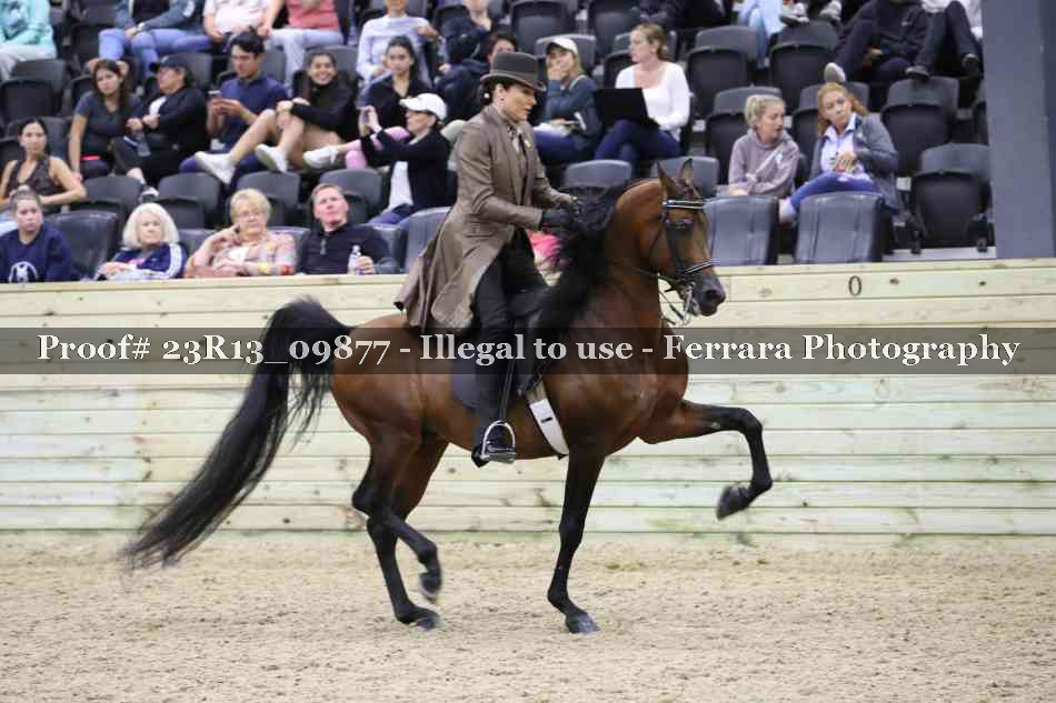 Proof 23R13_09877