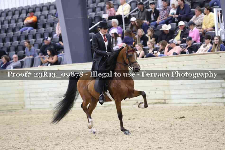 Proof 23R13_09878