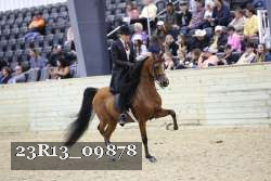 23R13_09878 proof