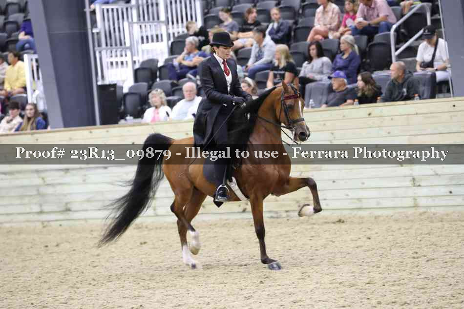 Proof 23R13_09879