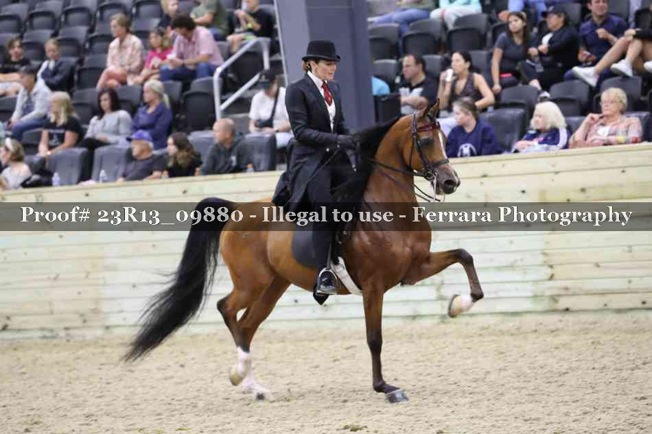 Proof 23R13_09880