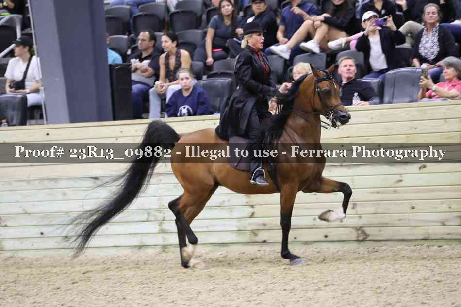 Proof 23R13_09882