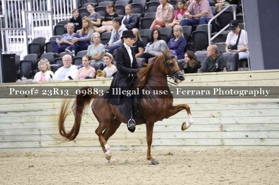 Proof 23R13_09883