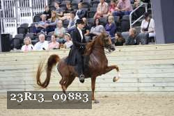 23R13_09883 proof