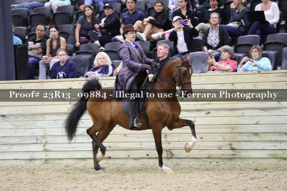 Proof 23R13_09884