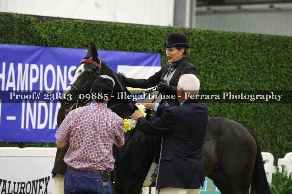 Proof 23R13_09885