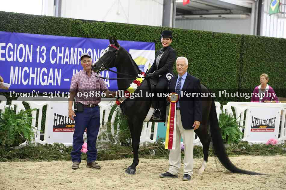 Proof 23R13_09886