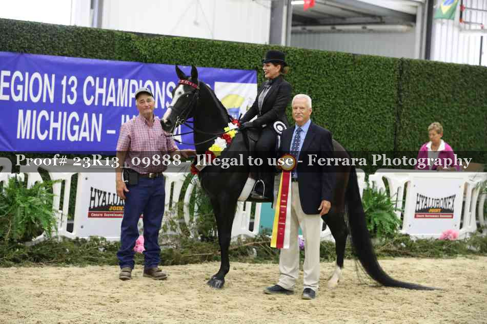 Proof 23R13_09888