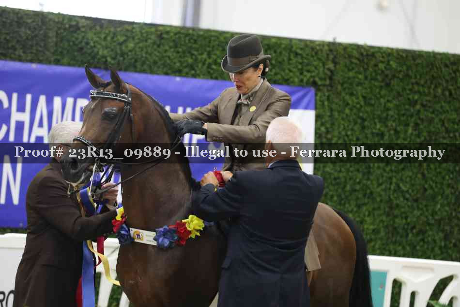 Proof 23R13_09889