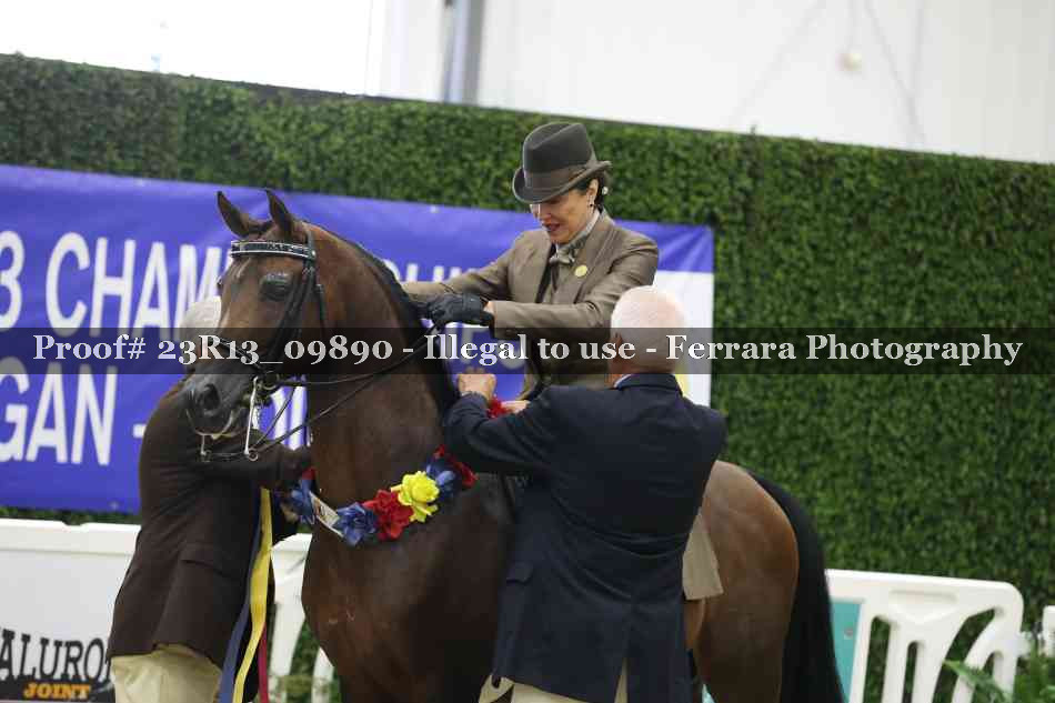 Proof 23R13_09890
