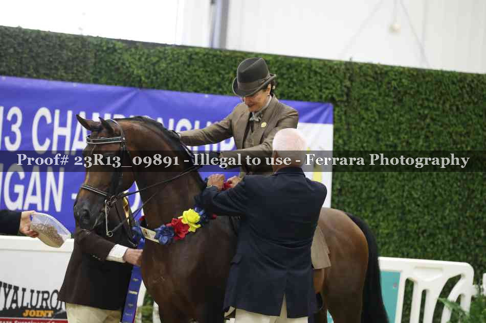Proof 23R13_09891