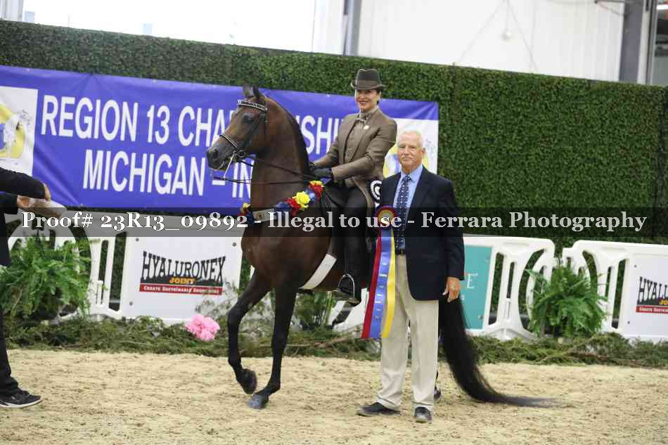 Proof 23R13_09892