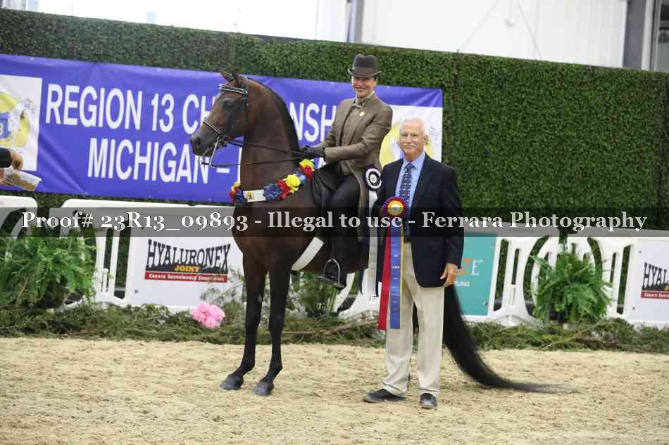 Proof 23R13_09893