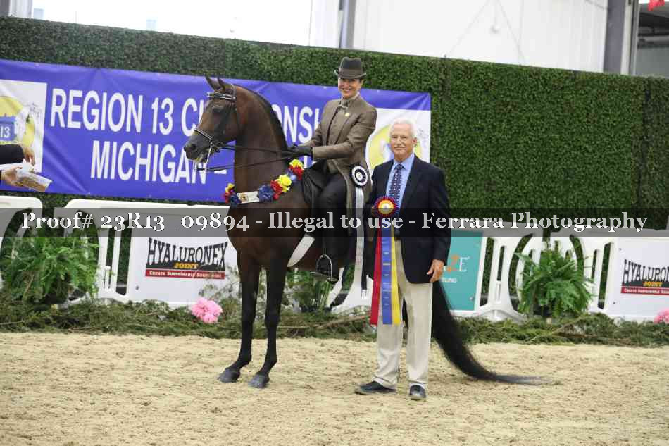 Proof 23R13_09894