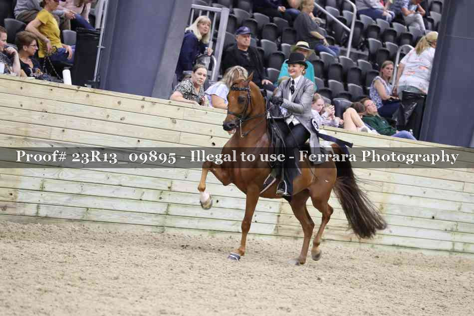 Proof 23R13_09895