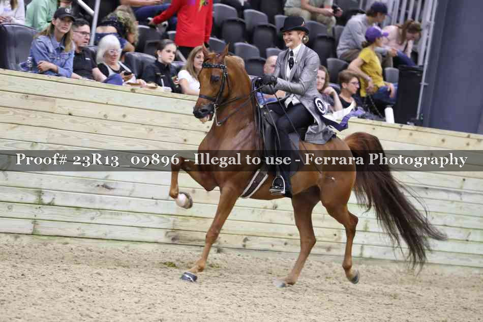 Proof 23R13_09896