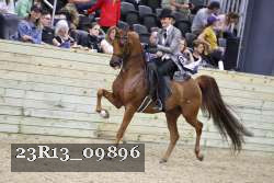 23R13_09896 proof