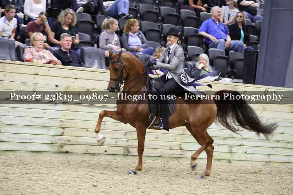 Proof 23R13_09897