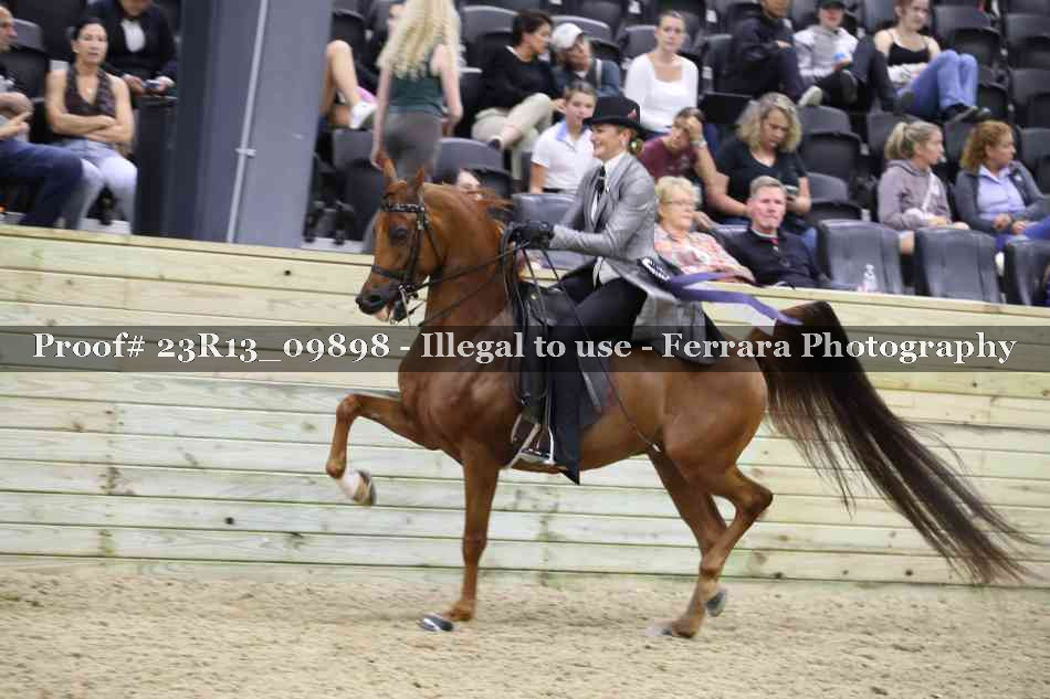 Proof 23R13_09898
