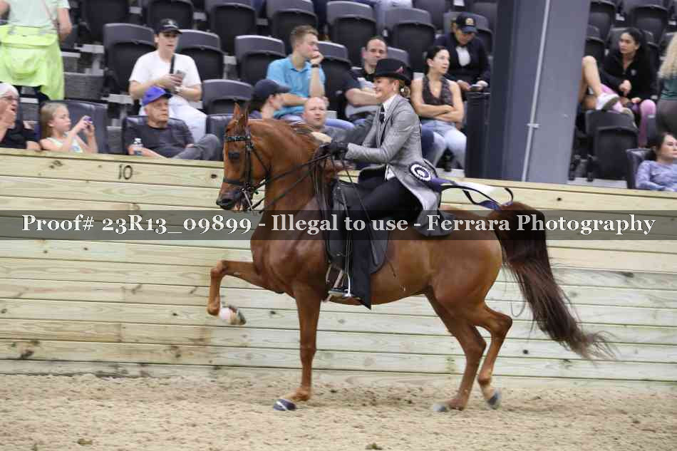 Proof 23R13_09899