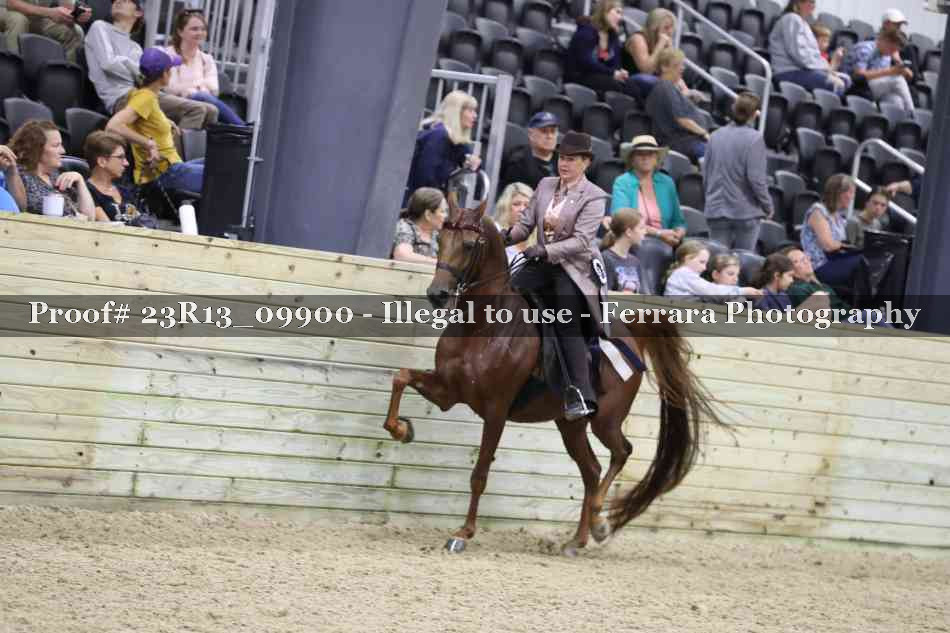 Proof 23R13_09900