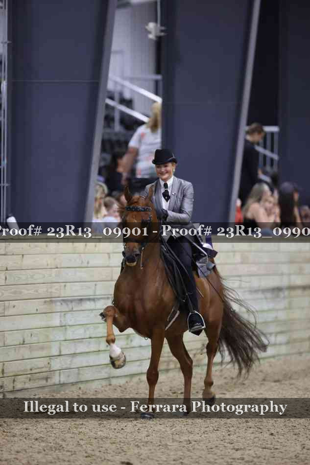 Proof 23R13_09901