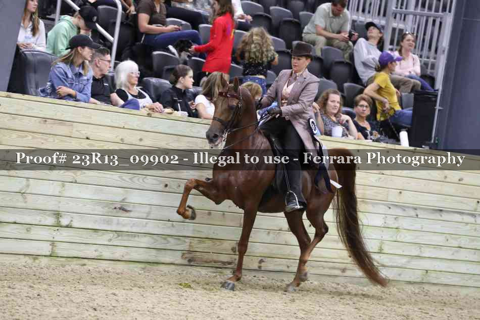 Proof 23R13_09902