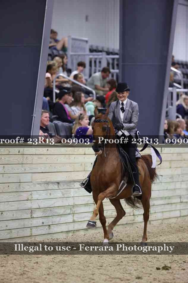 Proof 23R13_09903