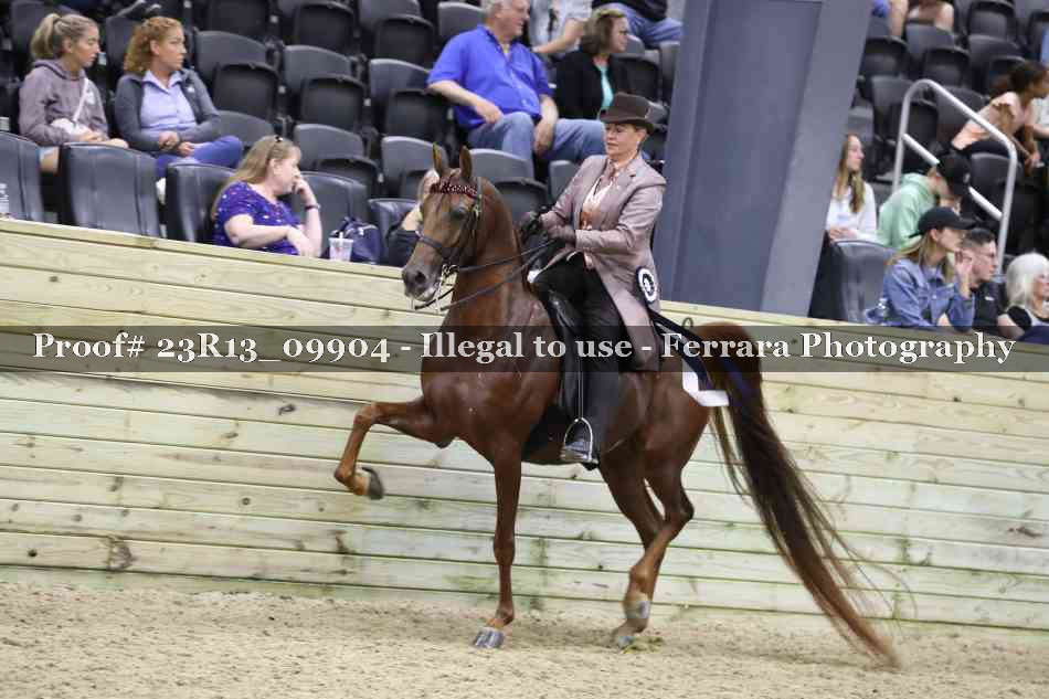 Proof 23R13_09904