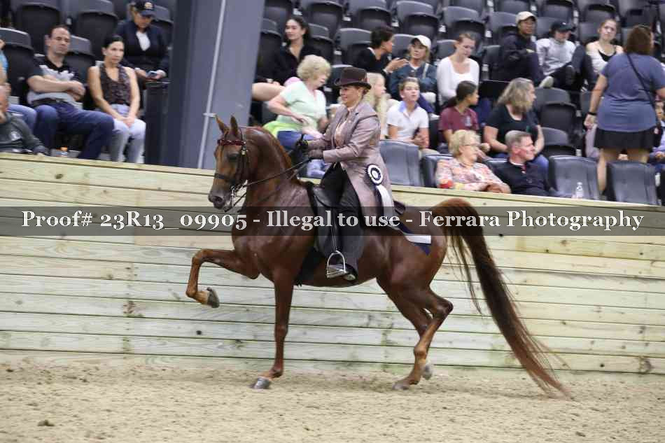 Proof 23R13_09905