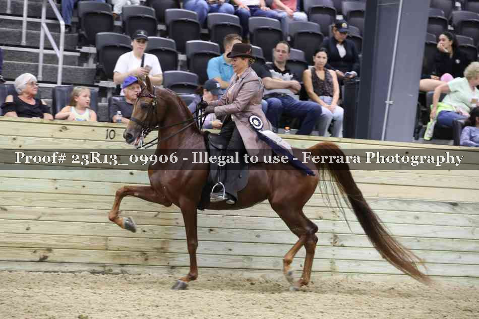 Proof 23R13_09906