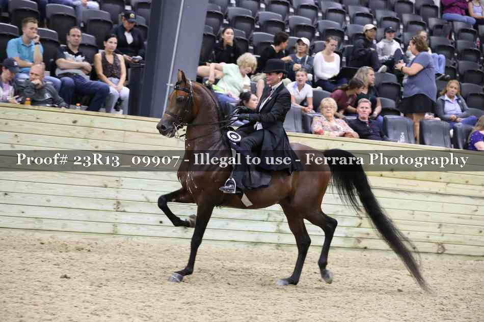 Proof 23R13_09907