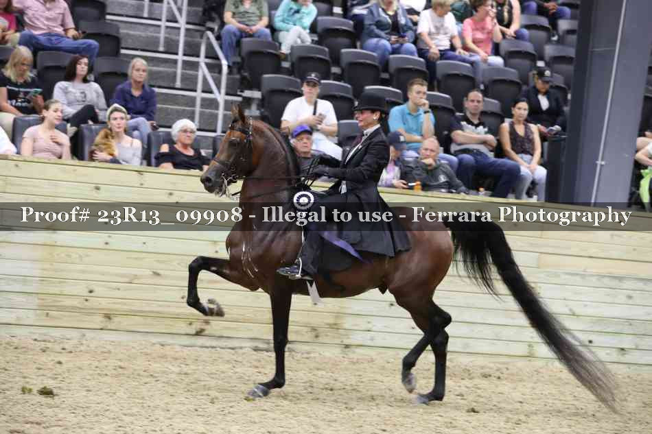 Proof 23R13_09908