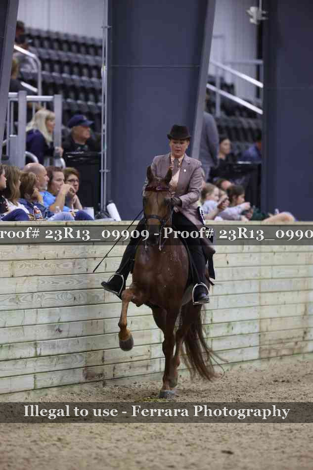 Proof 23R13_09909