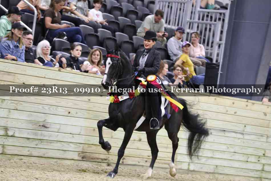 Proof 23R13_09910