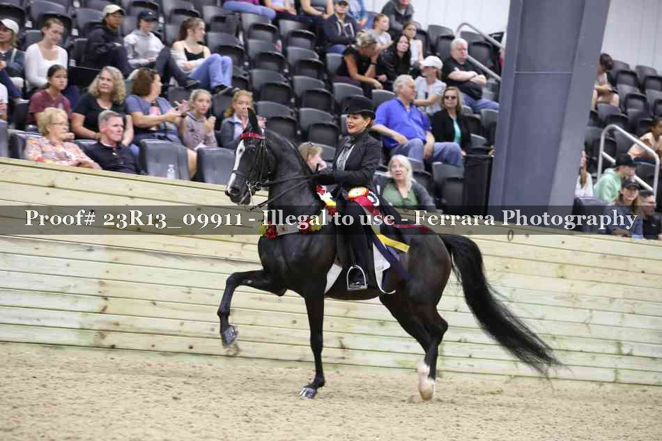 Proof 23R13_09911