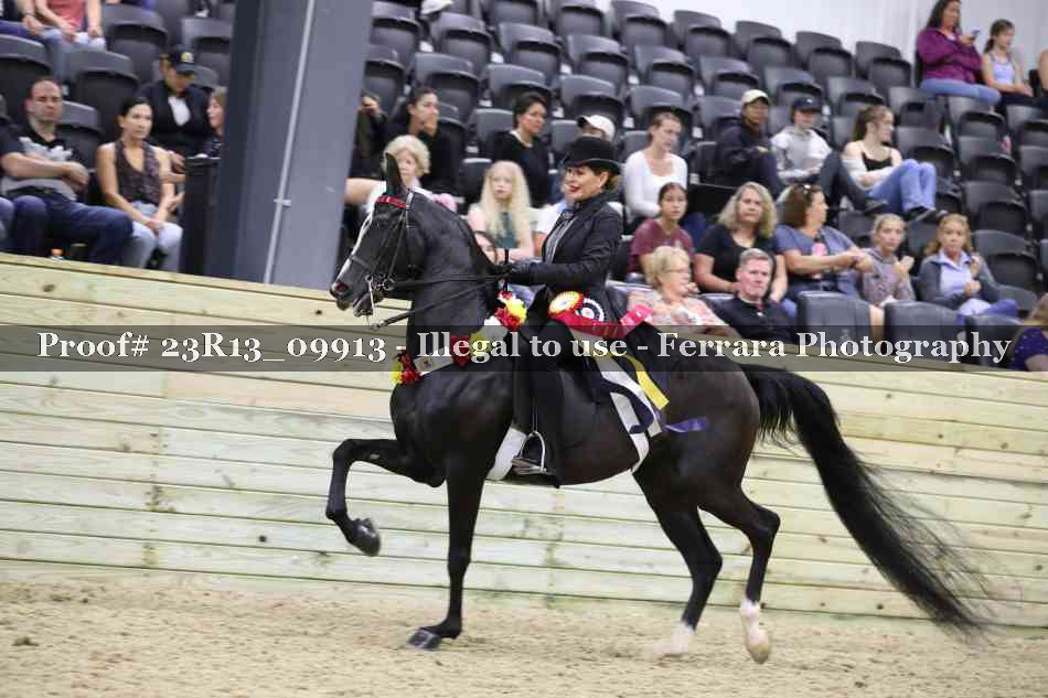Proof 23R13_09913