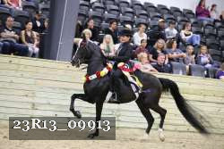 23R13_09913 proof