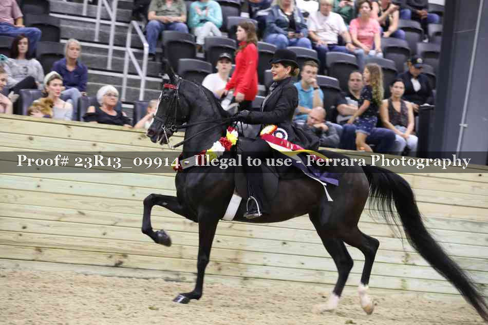 Proof 23R13_09914