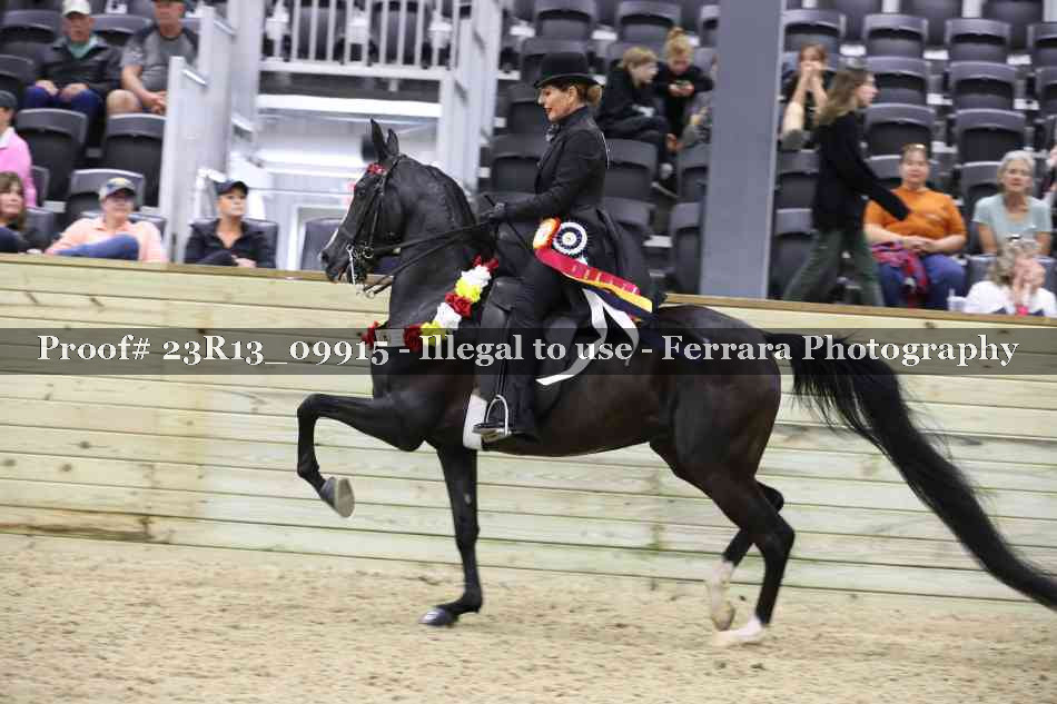 Proof 23R13_09915