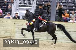 23R13_09915 proof