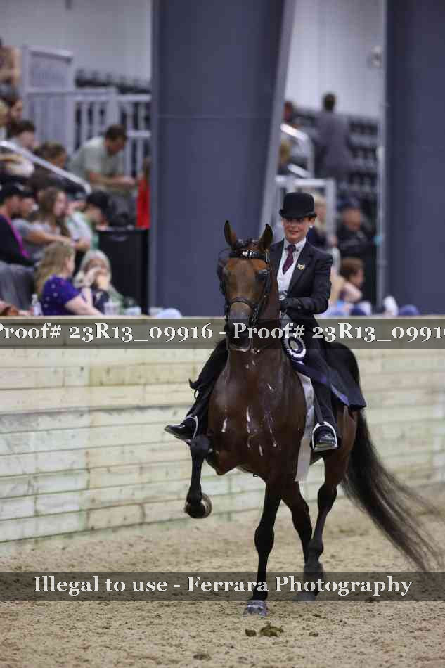 Proof 23R13_09916