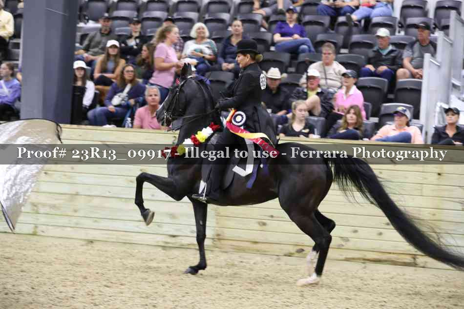 Proof 23R13_09917