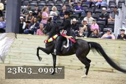 23R13_09917 proof
