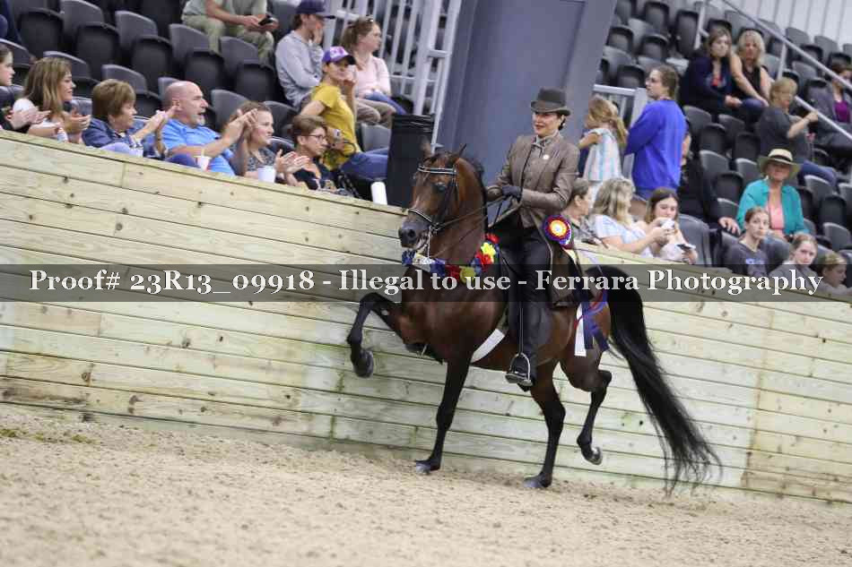 Proof 23R13_09918