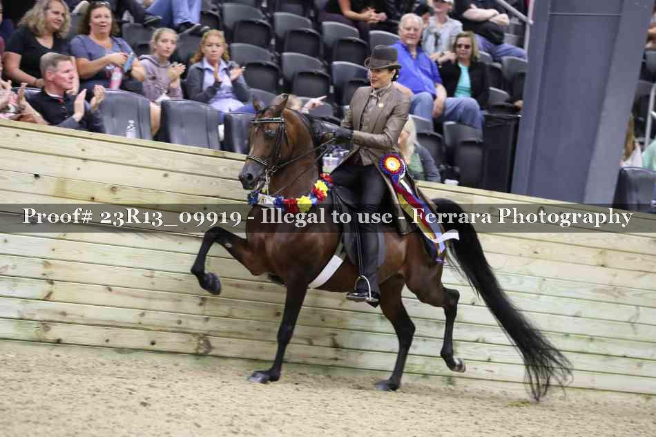 Proof 23R13_09919