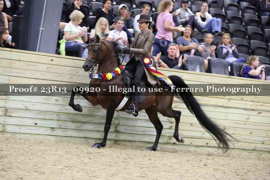 Proof 23R13_09920