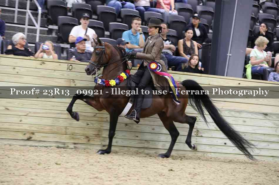 Proof 23R13_09921